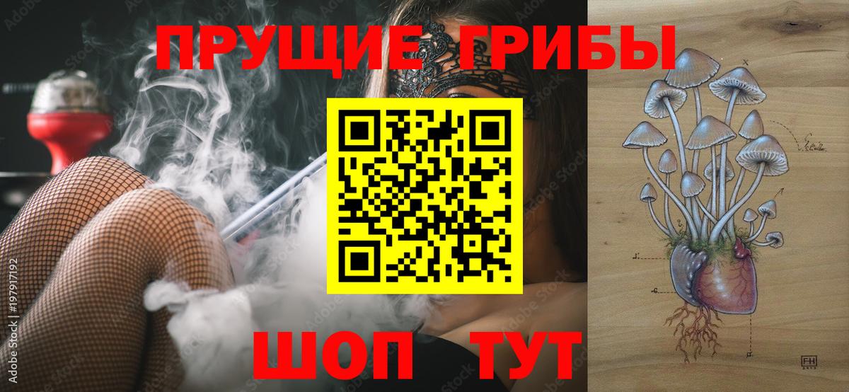 Амурск  Галлюциногенные грибы прущие грибы  Галлюциногенные грибы Psilocybine cubensis  Вход с VPN 